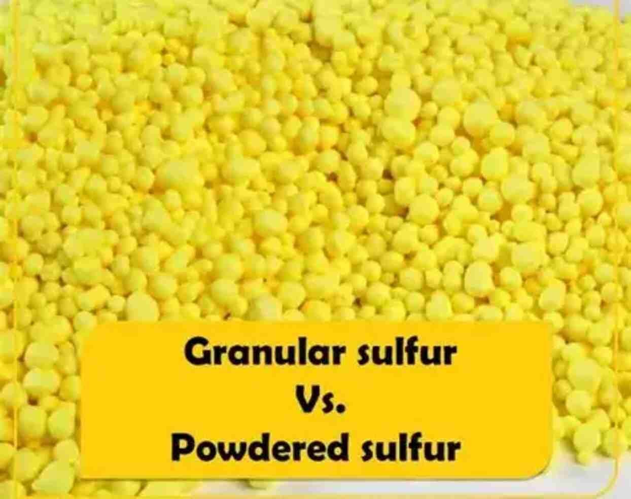Sulfur Flake vs Sulfur Powder: Key Differences and Uses